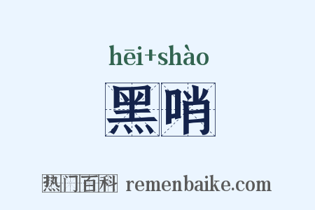 黑哨是什么意思的图片